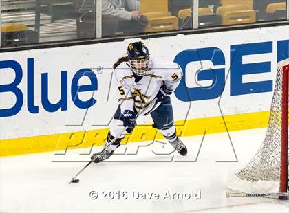 Thumbnail 2 in Austin Prep vs Arlington Catholic (MIAA Division 1 Final) photogallery.
