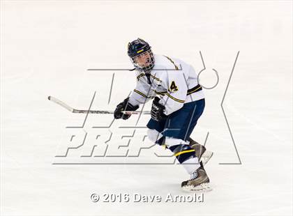 Thumbnail 3 in Austin Prep vs Arlington Catholic (MIAA Division 1 Final) photogallery.