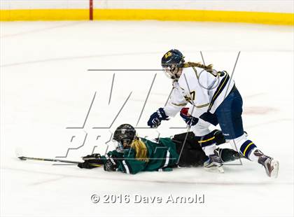 Thumbnail 1 in Austin Prep vs Arlington Catholic (MIAA Division 1 Final) photogallery.