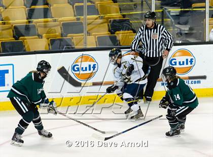 Thumbnail 3 in Austin Prep vs Arlington Catholic (MIAA Division 1 Final) photogallery.