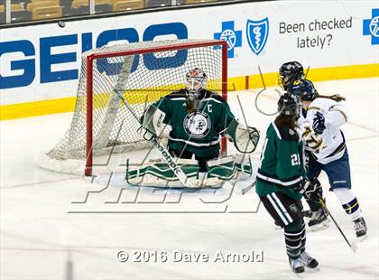 Thumbnail 3 in Austin Prep vs Arlington Catholic (MIAA Division 1 Final) photogallery.