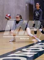 Photo from the gallery "Credo @ Sonoma Academy"
