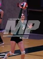 Photo from the gallery "Credo @ Sonoma Academy"