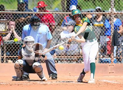 Thumbnail 1 in Canyon del Oro vs. Cactus (AIA 4A Semifinal) photogallery.