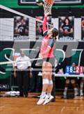 Photo from the gallery "Splendora @ Spring"