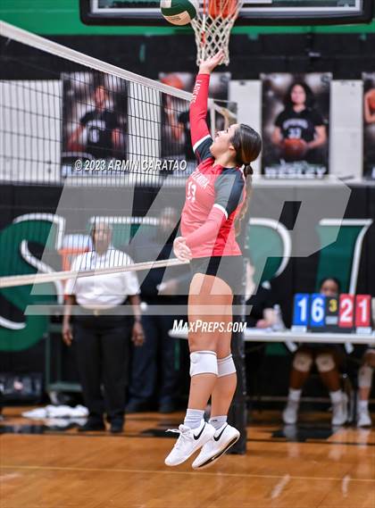 Thumbnail 1 in Splendora @ Spring photogallery.