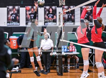 Thumbnail 3 in Splendora @ Spring photogallery.