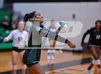 Photo from the gallery "Splendora @ Spring"