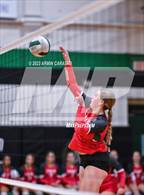 Photo from the gallery "Splendora @ Spring"