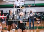 Photo from the gallery "Splendora @ Spring"