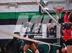 Photo from the gallery "Splendora @ Spring"