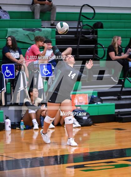 Thumbnail 3 in Splendora @ Spring photogallery.
