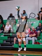 Photo from the gallery "Splendora @ Spring"