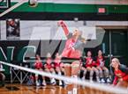 Photo from the gallery "Splendora @ Spring"