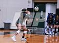 Photo from the gallery "Splendora @ Spring"