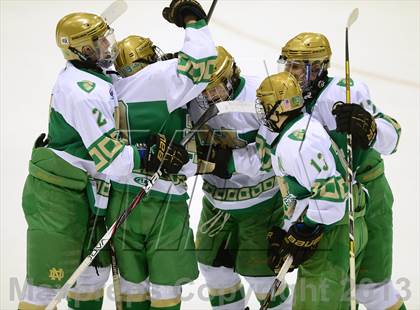 Thumbnail 2 in Darien vs. Notre Dame-West Haven (CIAC Division I Semifinal) photogallery.