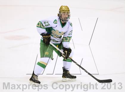 Thumbnail 2 in Darien vs. Notre Dame-West Haven (CIAC Division I Semifinal) photogallery.