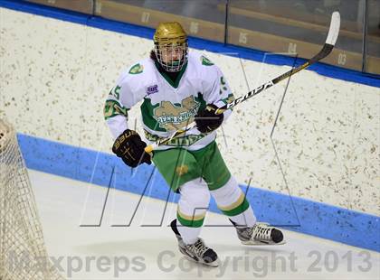 Thumbnail 2 in Darien vs. Notre Dame-West Haven (CIAC Division I Semifinal) photogallery.