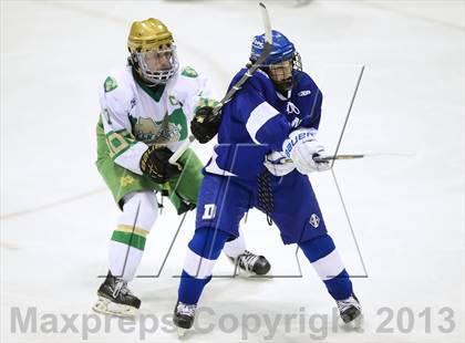 Thumbnail 3 in Darien vs. Notre Dame-West Haven (CIAC Division I Semifinal) photogallery.