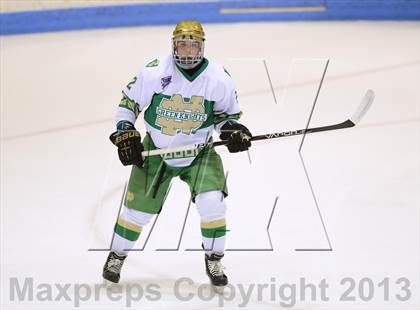 Thumbnail 1 in Darien vs. Notre Dame-West Haven (CIAC Division I Semifinal) photogallery.