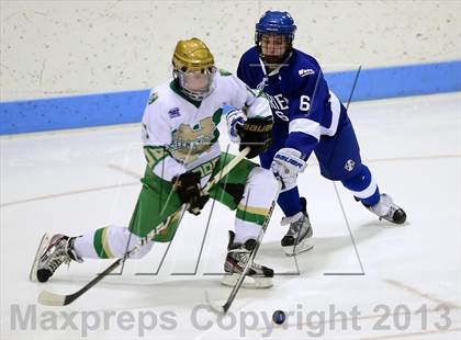 Thumbnail 1 in Darien vs. Notre Dame-West Haven (CIAC Division I Semifinal) photogallery.
