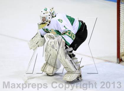 Thumbnail 1 in Darien vs. Notre Dame-West Haven (CIAC Division I Semifinal) photogallery.
