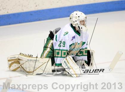 Thumbnail 1 in Darien vs. Notre Dame-West Haven (CIAC Division I Semifinal) photogallery.
