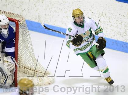 Thumbnail 1 in Darien vs. Notre Dame-West Haven (CIAC Division I Semifinal) photogallery.