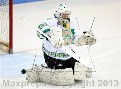 Thumbnail 1 in Darien vs. Notre Dame-West Haven (CIAC Division I Semifinal) photogallery.