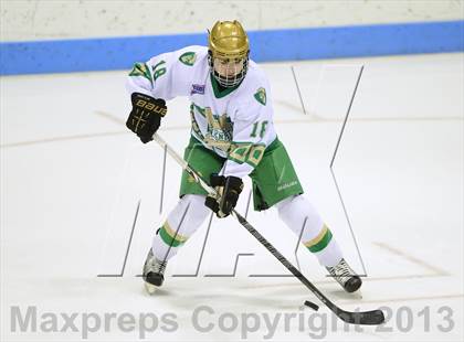 Thumbnail 3 in Darien vs. Notre Dame-West Haven (CIAC Division I Semifinal) photogallery.
