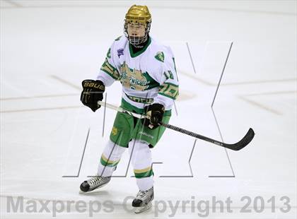 Thumbnail 2 in Darien vs. Notre Dame-West Haven (CIAC Division I Semifinal) photogallery.