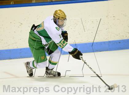 Thumbnail 1 in Darien vs. Notre Dame-West Haven (CIAC Division I Semifinal) photogallery.