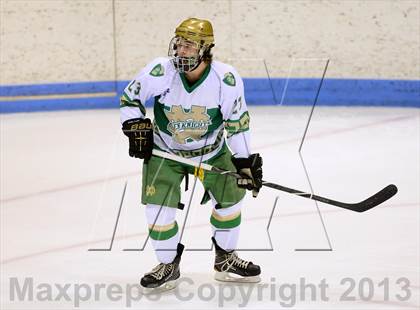 Thumbnail 3 in Darien vs. Notre Dame-West Haven (CIAC Division I Semifinal) photogallery.
