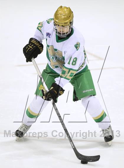 Thumbnail 1 in Darien vs. Notre Dame-West Haven (CIAC Division I Semifinal) photogallery.