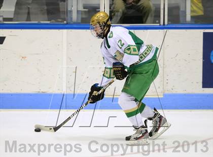 Thumbnail 1 in Darien vs. Notre Dame-West Haven (CIAC Division I Semifinal) photogallery.