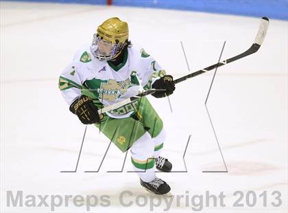 Thumbnail 1 in Darien vs. Notre Dame-West Haven (CIAC Division I Semifinal) photogallery.