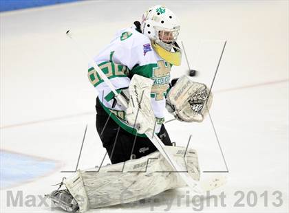 Thumbnail 2 in Darien vs. Notre Dame-West Haven (CIAC Division I Semifinal) photogallery.