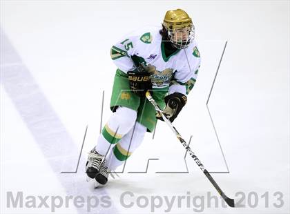 Thumbnail 1 in Darien vs. Notre Dame-West Haven (CIAC Division I Semifinal) photogallery.