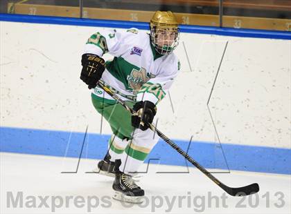 Thumbnail 1 in Darien vs. Notre Dame-West Haven (CIAC Division I Semifinal) photogallery.