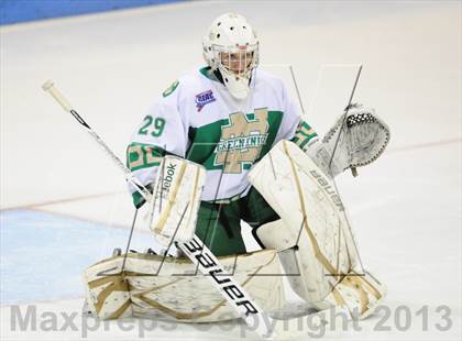 Thumbnail 1 in Darien vs. Notre Dame-West Haven (CIAC Division I Semifinal) photogallery.