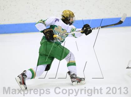 Thumbnail 2 in Darien vs. Notre Dame-West Haven (CIAC Division I Semifinal) photogallery.