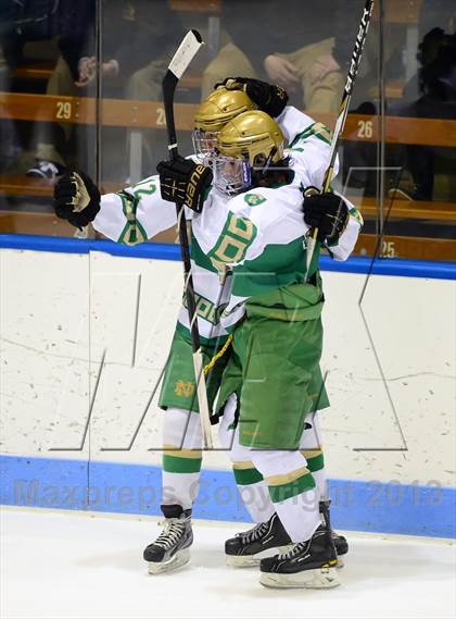 Thumbnail 1 in Darien vs. Notre Dame-West Haven (CIAC Division I Semifinal) photogallery.