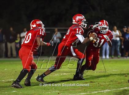 Thumbnail 1 in Havelock @ Jacksonville photogallery.