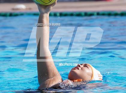 Thumbnail 1 in Los Gatos @ Lynbrook photogallery.