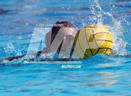 Thumbnail 3 in Los Gatos @ Lynbrook photogallery.