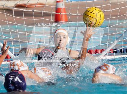 Thumbnail 1 in Los Gatos @ Lynbrook photogallery.