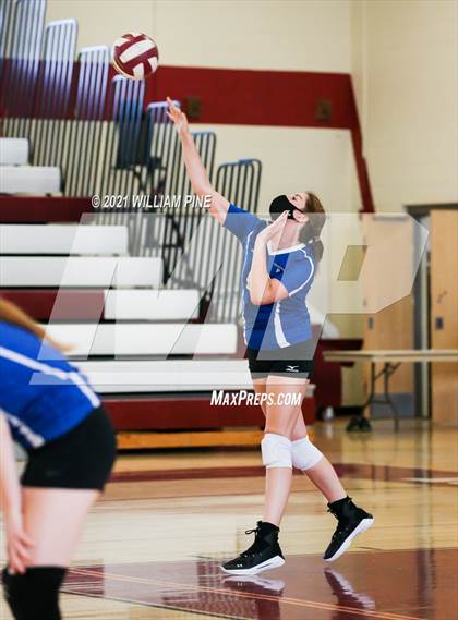 Thumbnail 2 in JV: Valley Central @ Kingston photogallery.