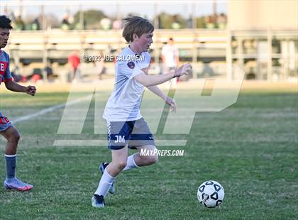 Thumbnail 2 in Lee vs Madison photogallery.
