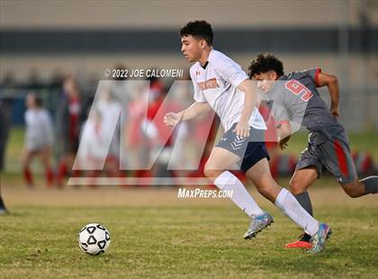 Thumbnail 3 in Lee vs Madison photogallery.