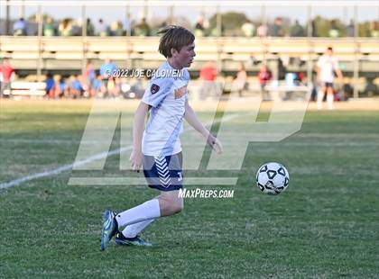 Thumbnail 3 in Lee vs Madison photogallery.